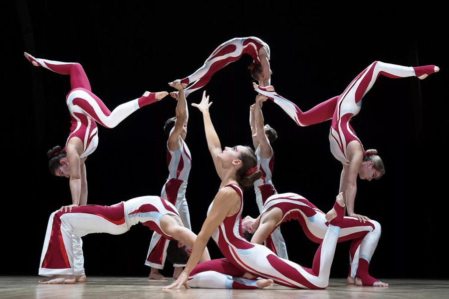 How Circus Arts Shaped Contemporary Adult Acrobatics